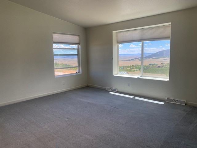 470 Sheep Ridge Rd #NA - Photo 4 of 19
