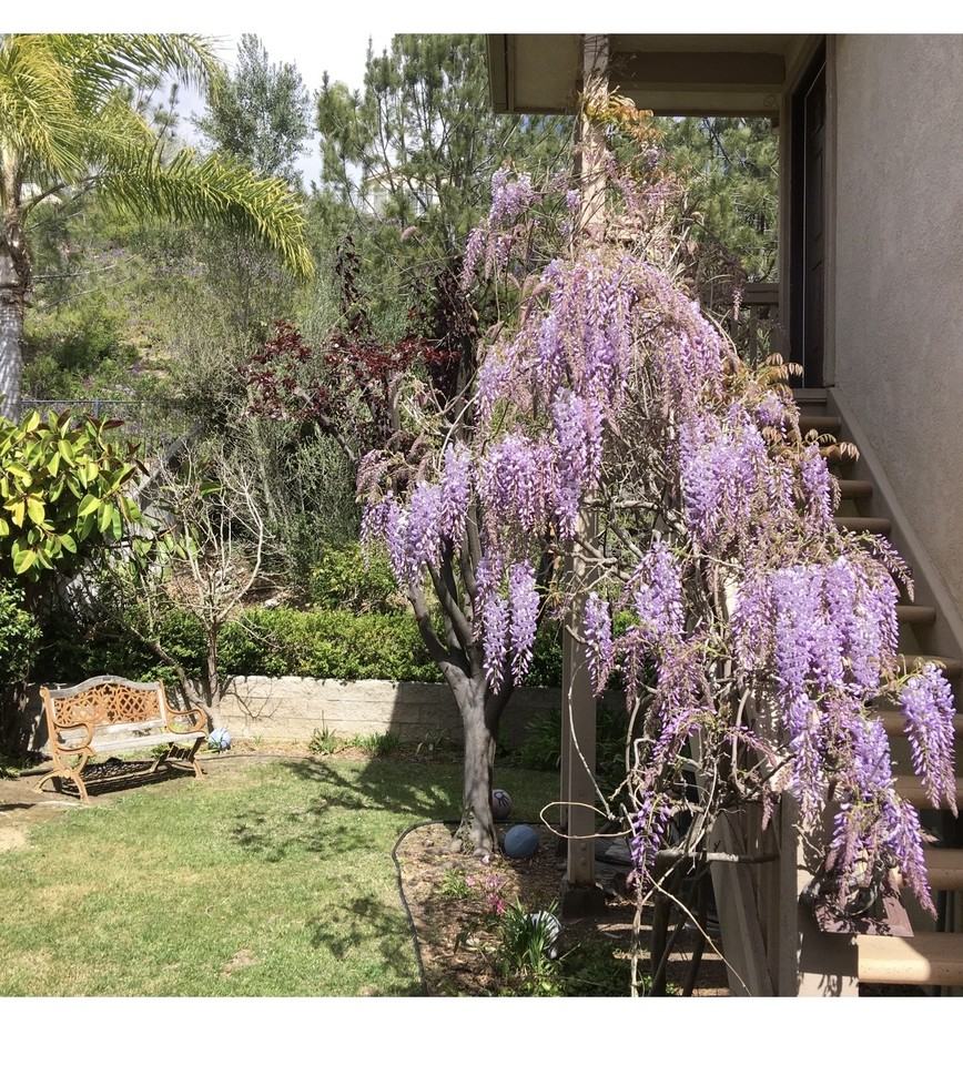 4450 Calle Mar De Armonia #2 - Photo 7 of 8