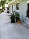 1114 Catherine St - Photo 1 of 1