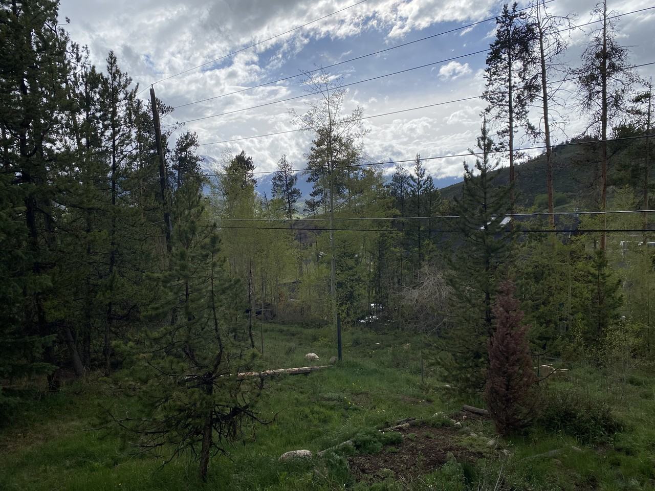 129 Forest Canyon Rd #A - Photo 2 of 3