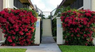 120 N M St #L - Photo 1 of 1