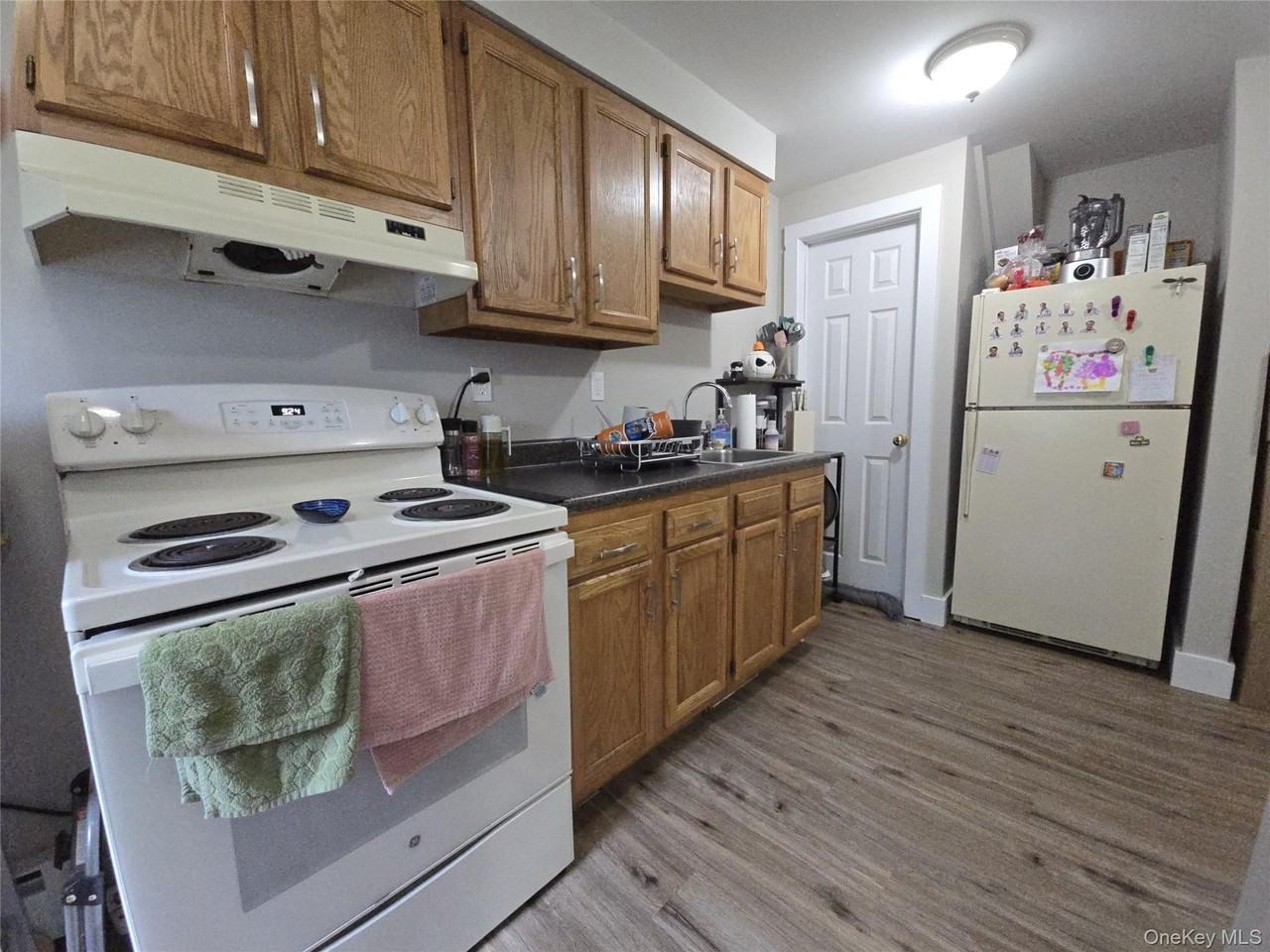 174 Clinton St - Photo 3 of 15