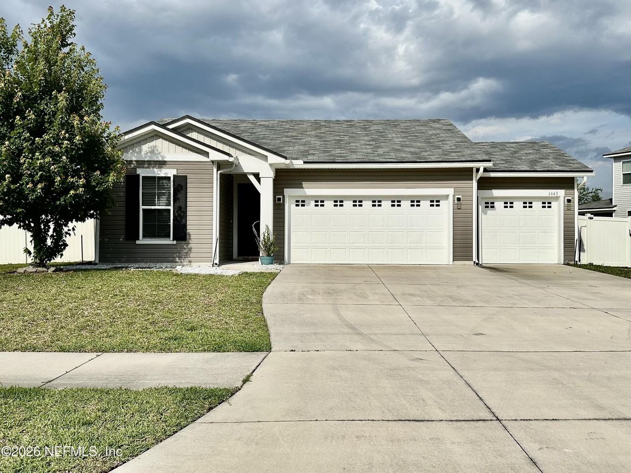 1443 Tropical Pine Cv