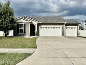 1443 Tropical Pine Cv - Photo 1 of 1