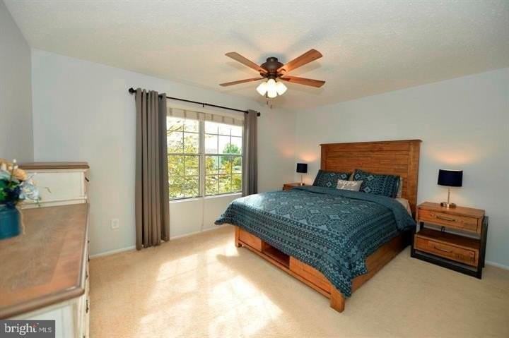 109 Fort Evans Rd Se #C - Photo 7 of 20