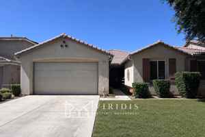 featured image of Cactus Flower Ave #1