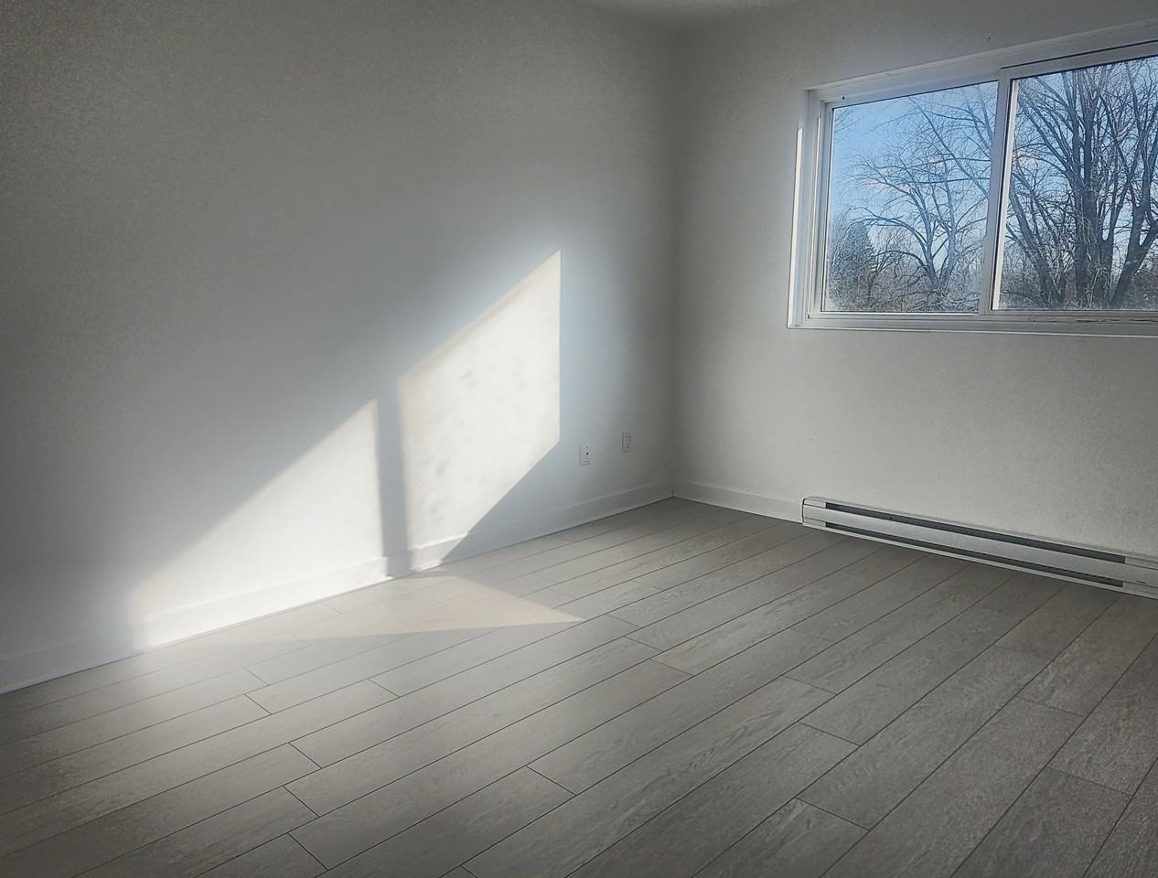 1742 Av Victoria — photo 3