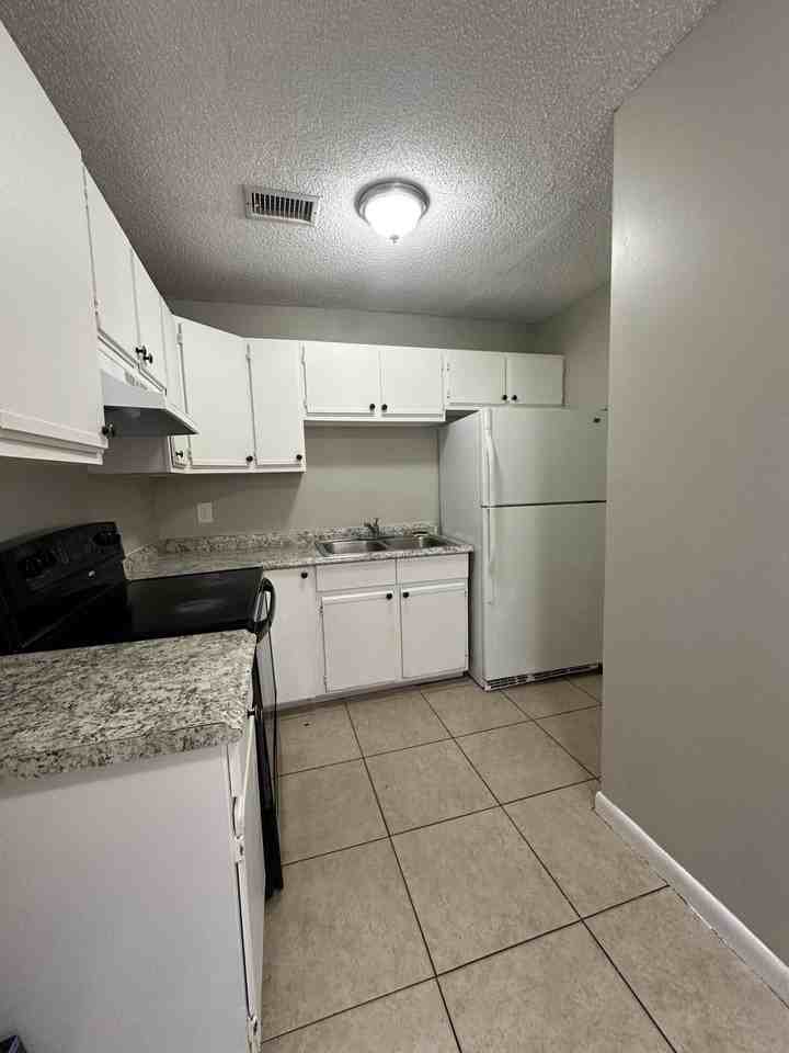 4833 Serafica Dr - Photo 5 of 11