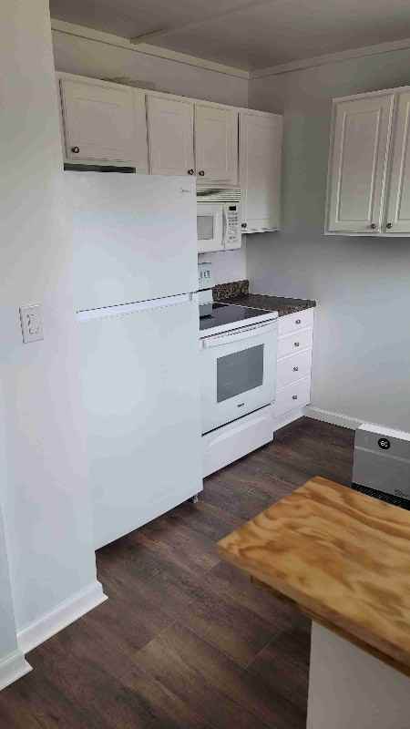 531 Mildred St - Photo 4 of 15
