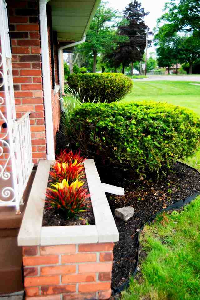 1311 W Morrell St - Photo 5 of 48