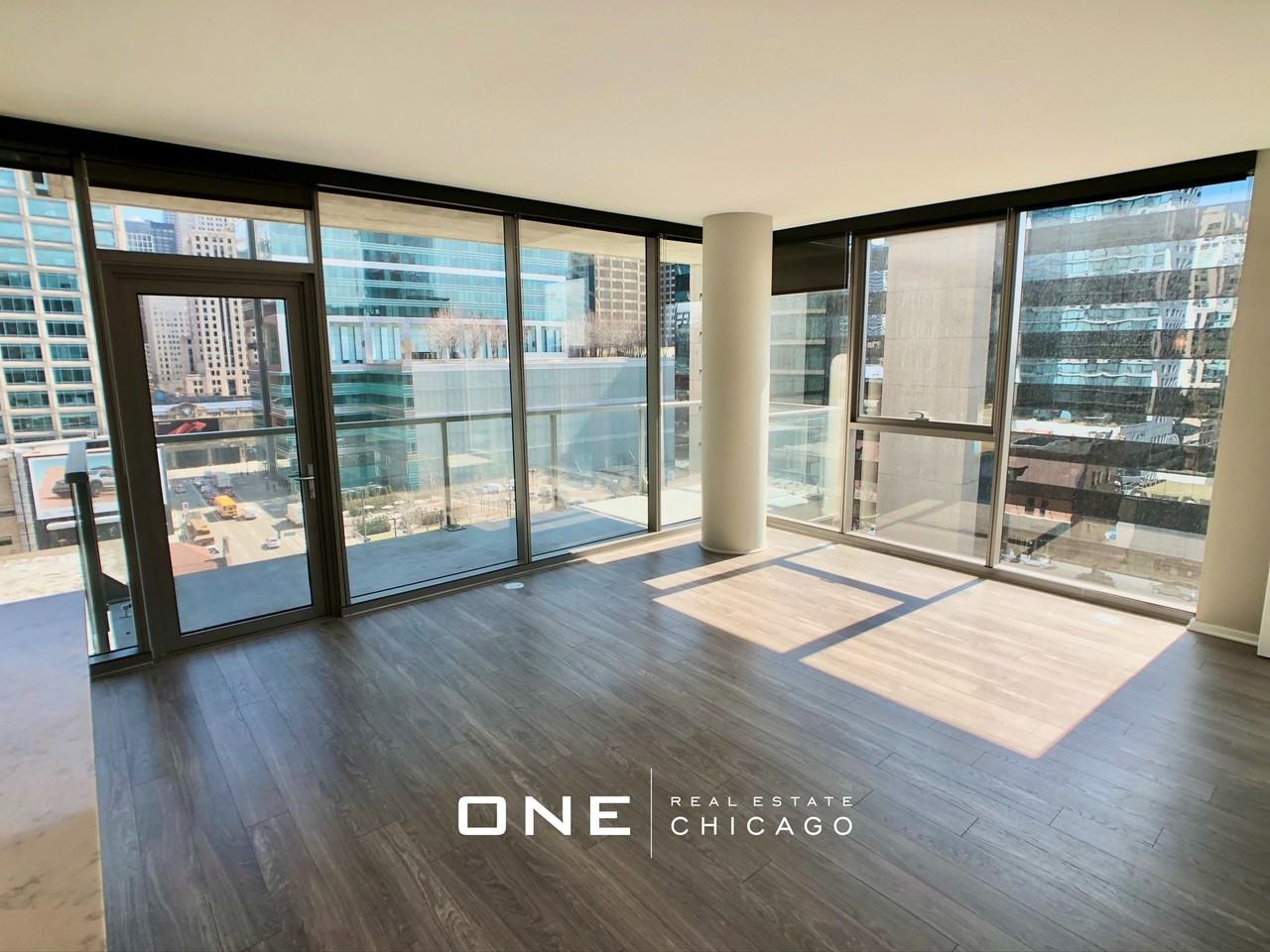 145 N Desplaines St #1003 - Photo 3 of 13