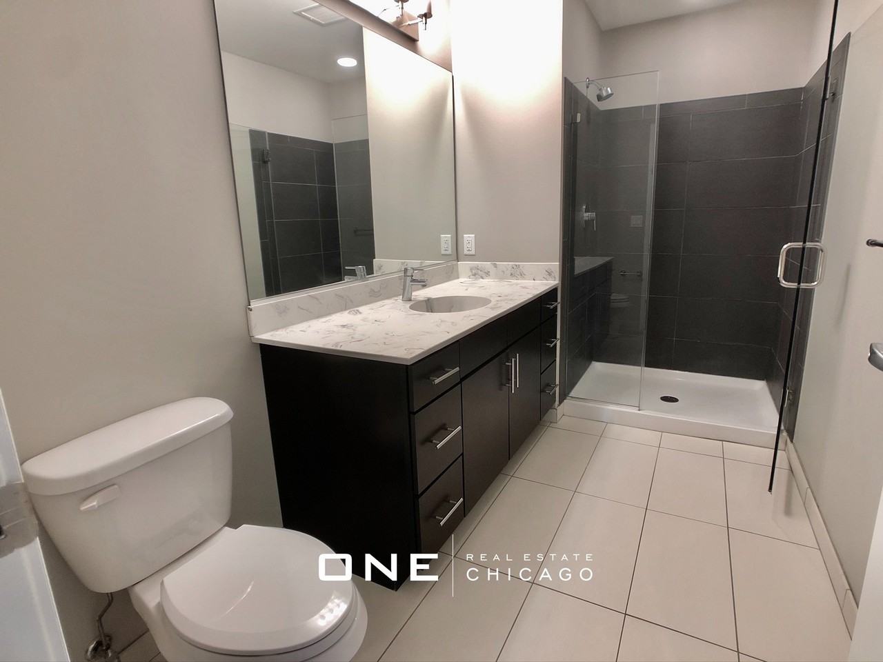 145 N Desplaines St #1003 - Photo 5 of 13