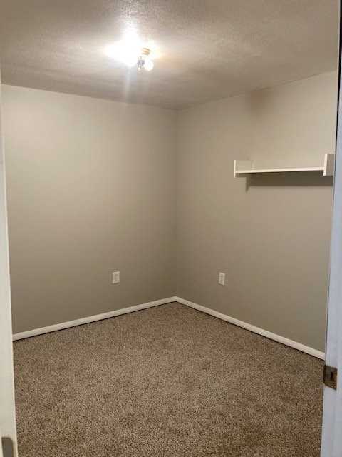 5427 Borgase Ln - Photo 3 of 15