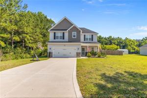 featured image of 163 Olan Dr