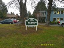 142 - T'Morrow - Photo 1 of 1