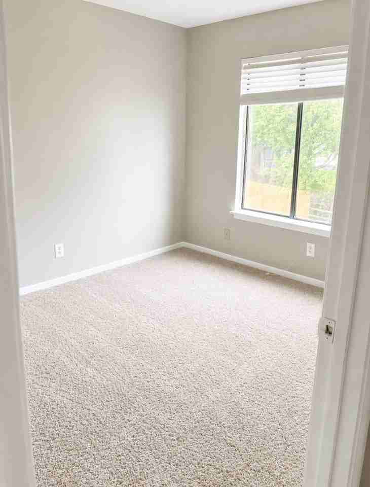 2222 Wind Trace Circle - Photo 6 of 11