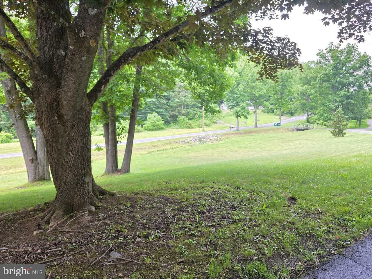 1030 Silver Creek Rd - Photo 3 of 21