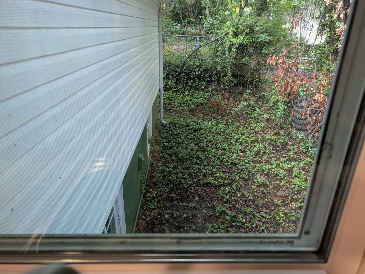 1620B Catawba St #1 - Photo 7 of 20