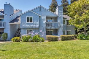 featured image of 535 Lighthouse Dr #1