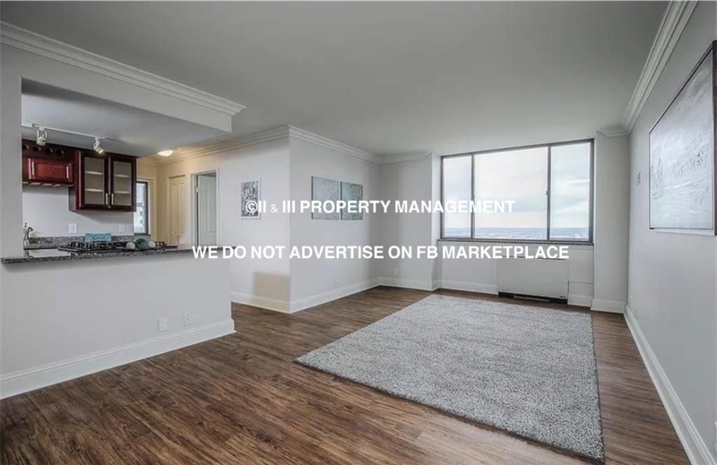 700 East 8Th Street Uit 16H - Photo 4 of 21