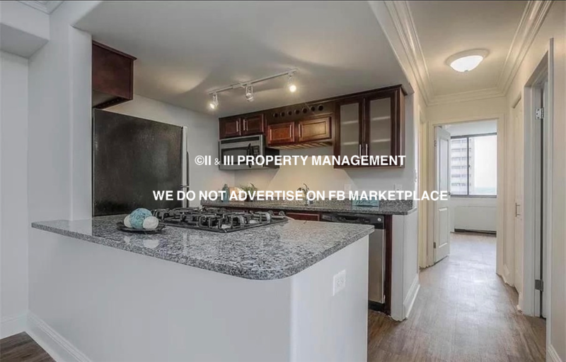 700 East 8Th Street Uit 16H - Photo 7 of 21