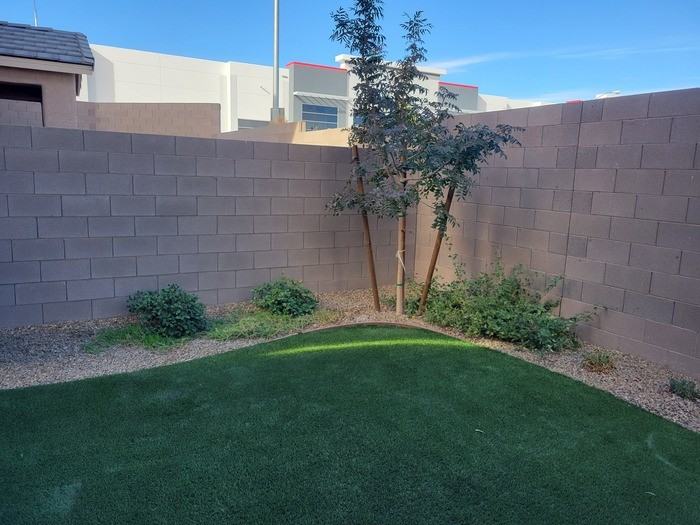 8784 Candelabra Ct - Photo 5 of 19