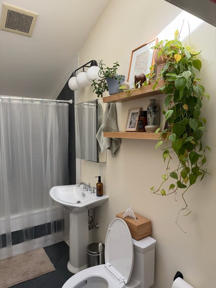 58 Weld Hill St #3 - Photo 6 of 27