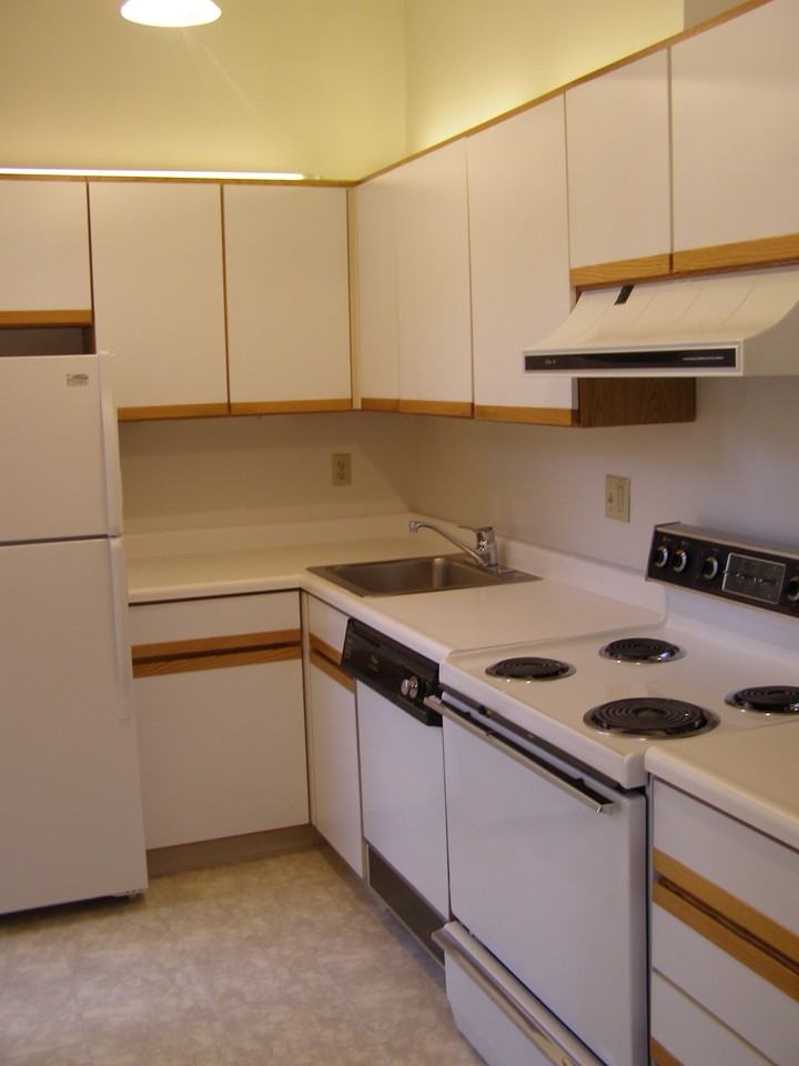517 Shady Ave #12 - Photo 4 of 8