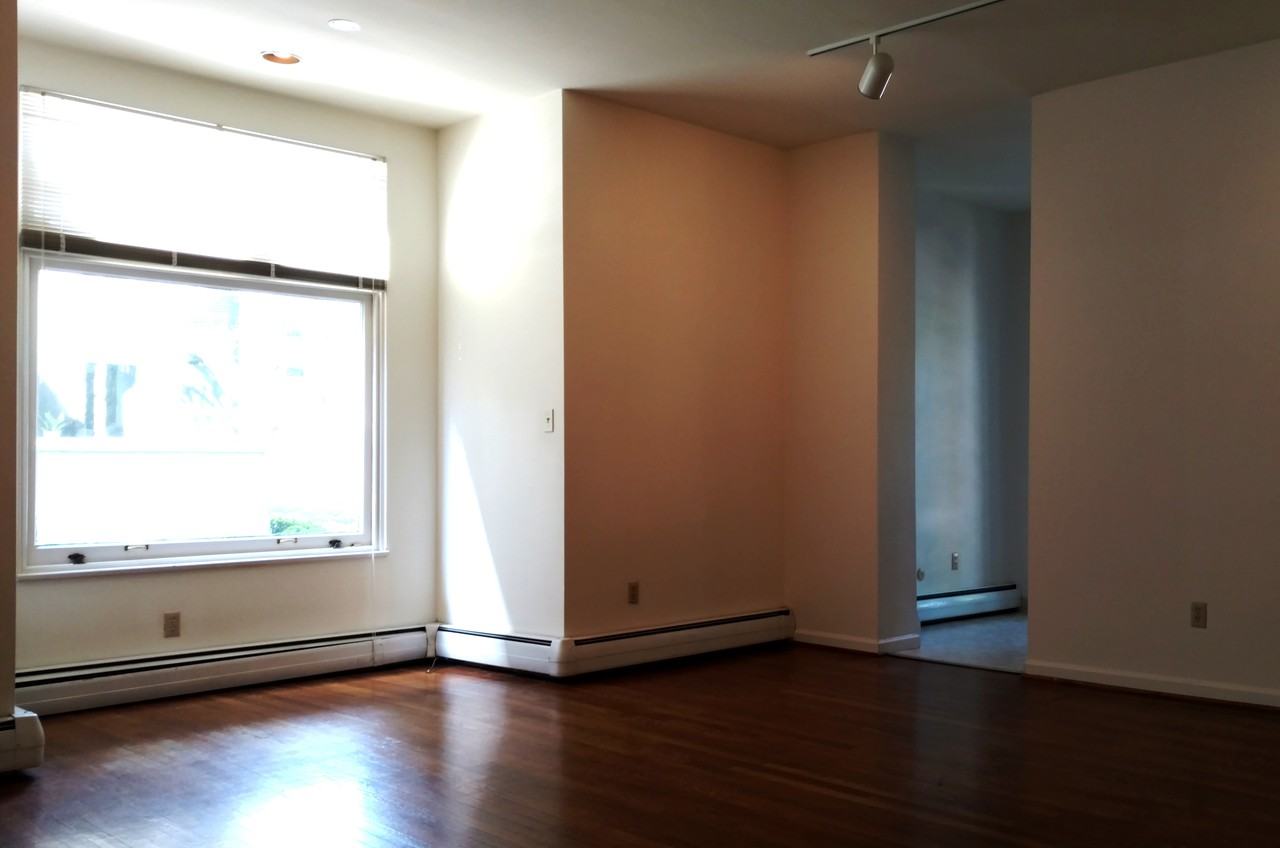 517 Shady Ave #12 - Photo 5 of 8