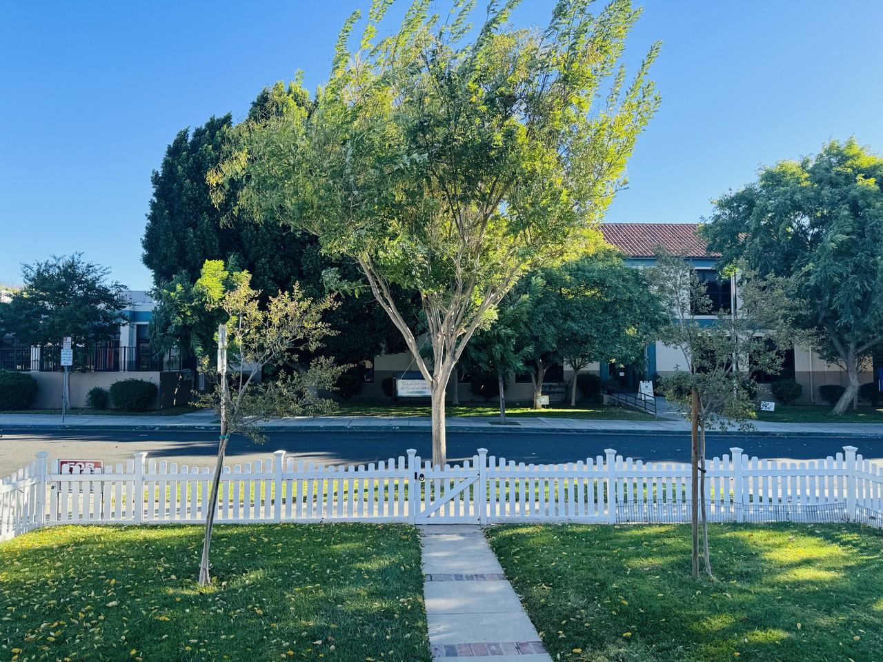 851 N Cordova St #NA - Photo 5 of 30