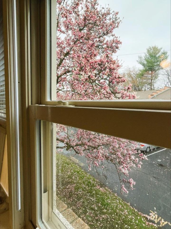 3501 Illinois Ave Apt E7 - Photo 7 of 12