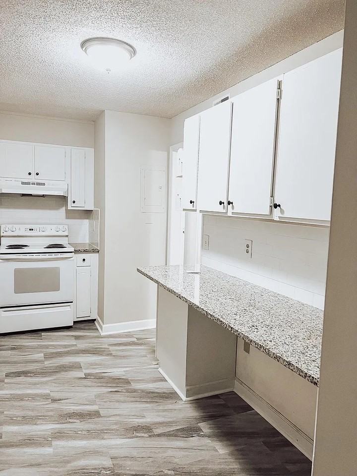 1744 N Hamilton St - Photo 4 of 15
