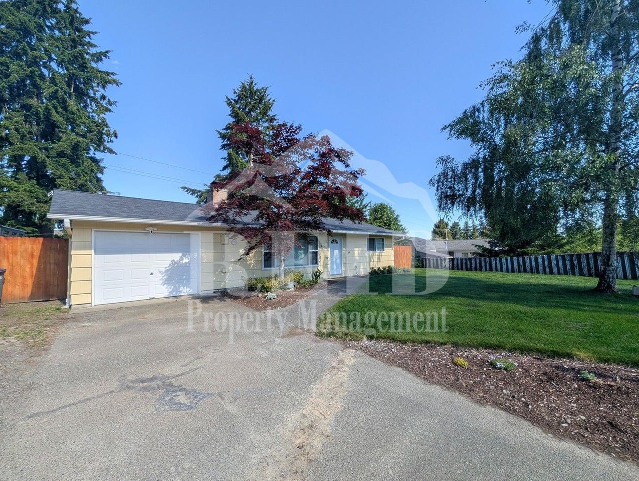 3806 Pineneedle Dr - Photo 2 of 22