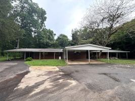 featured image of Venita Dr