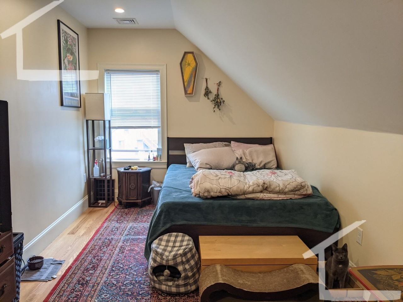 2 Sparhawk St - Photo 2 of 11