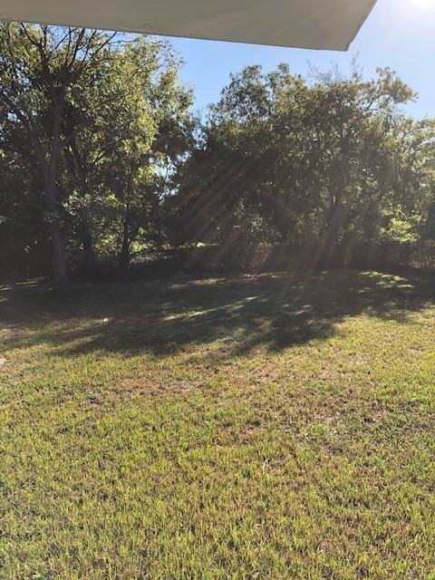 3303 Texas St - Photo 4 of 17