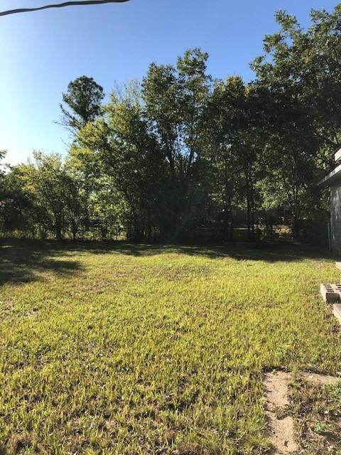3303 Texas St - Photo 6 of 17