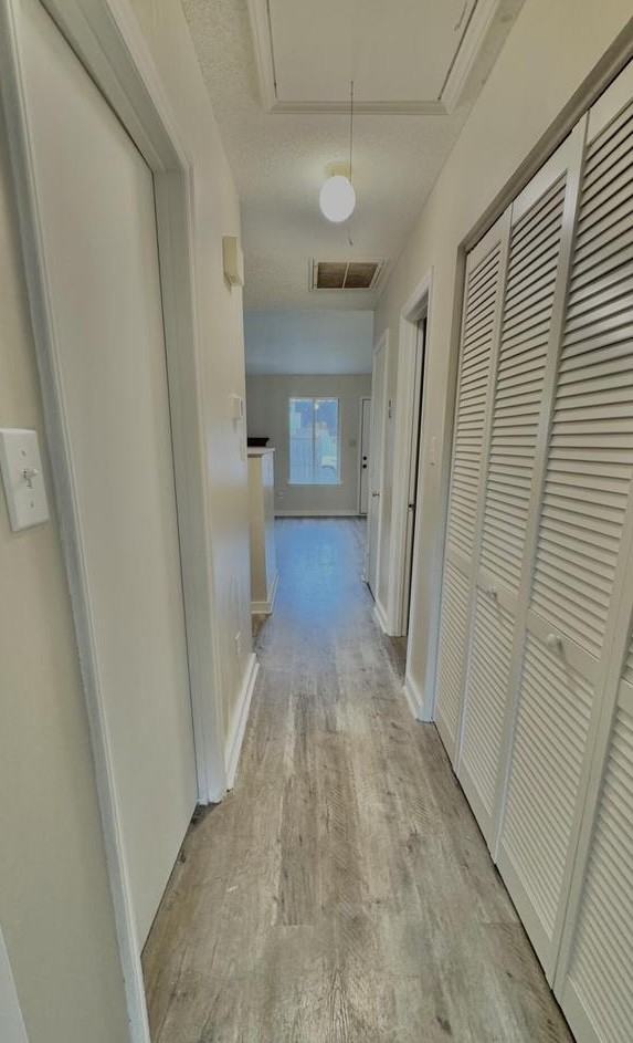 117 Marlene Dr #1 - Photo 7 of 21