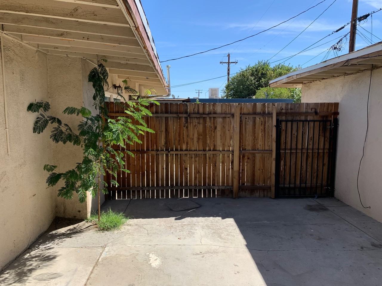 3913 E Calle De Ricardo #1 - Photo 5 of 17