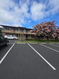 Cherry Tree - Photo 1 of 1