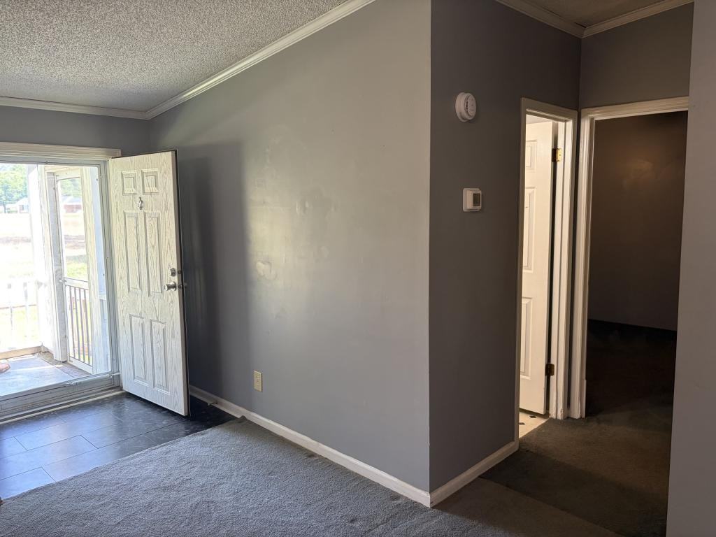460 Mt Moriah Church Rd - Photo 7 of 17