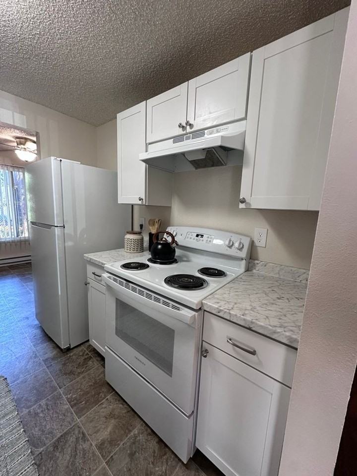 360 S Locust St #360 - Photo 4 of 8