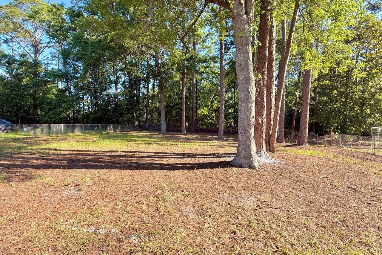 521 Azalea St - Photo 5 of 8
