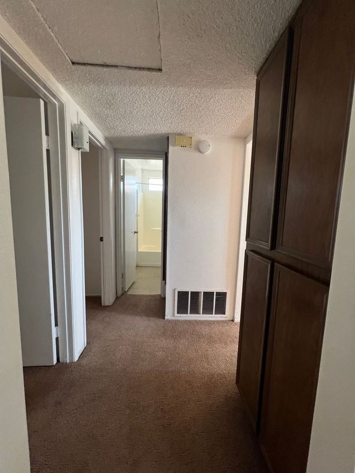 493 Avenida Calandria - Photo 6 of 10