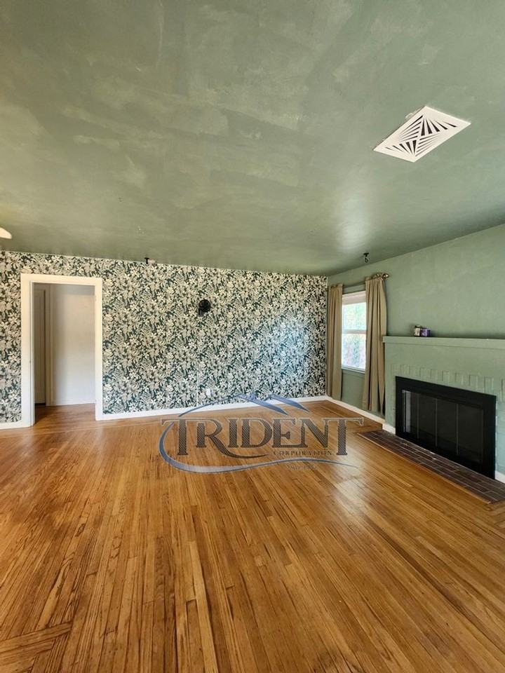 1117 Divver St - Photo 3 of 21