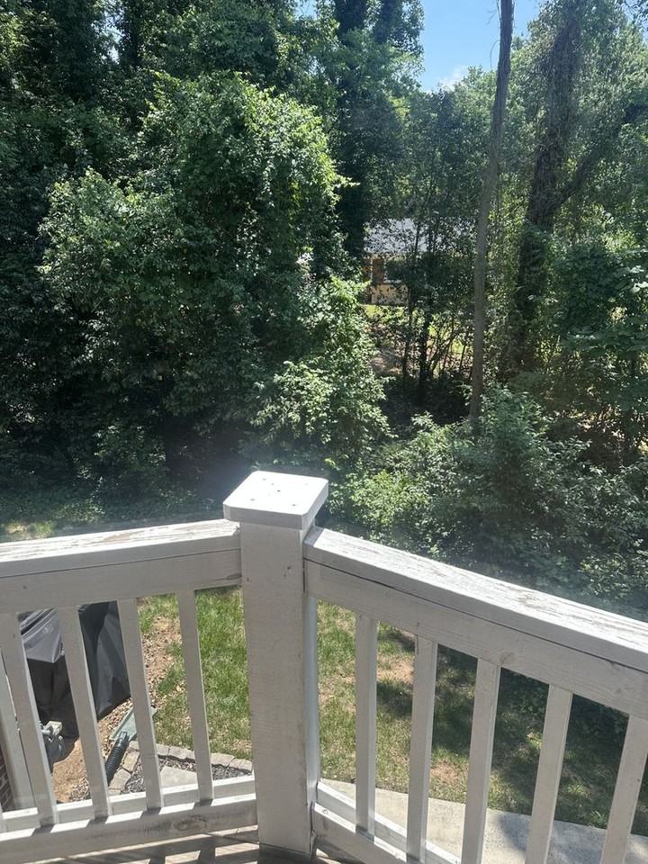 1229 Lalex Ln - Photo 4 of 6