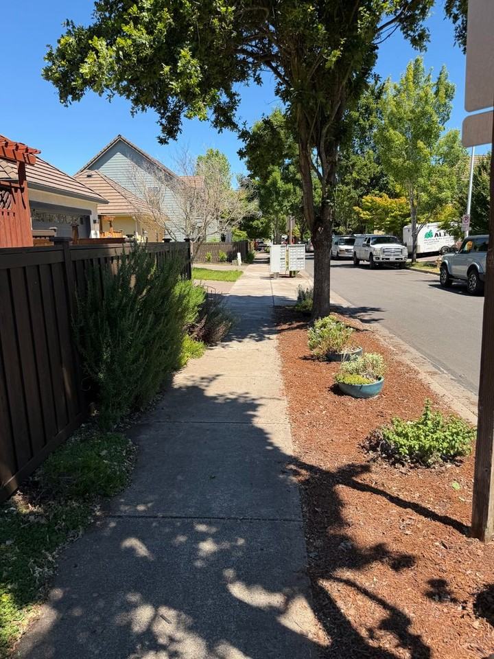 4016 Scottdale St - Photo 2 of 19