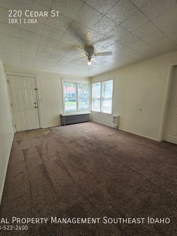 220 Cedar St - Photo 4 of 14