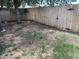 featured image of 604 Kline Ave #B
