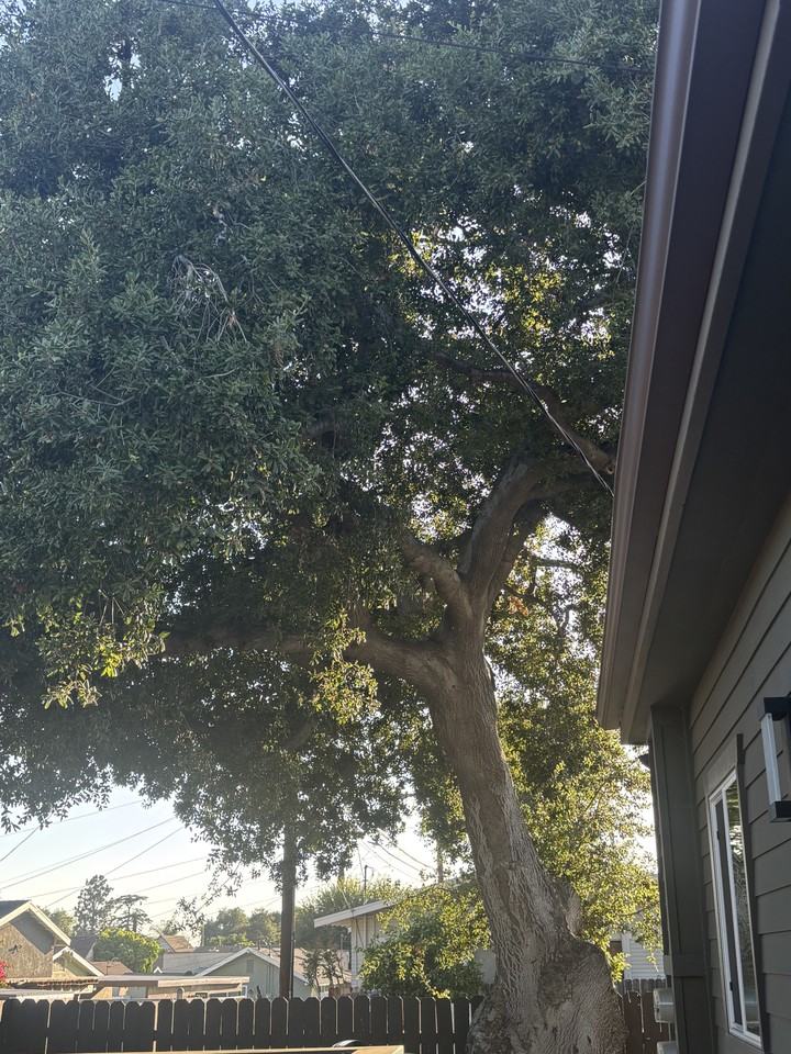 324 E Colorado Blvd #NA - Photo 5 of 15